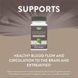 Nature's Way, Ginkgold Max, 120 mg, 60 Tablets