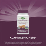 Nature's Way, Ashwagandha, Premium Extract, 500 mg, 60 Vegan Capsules